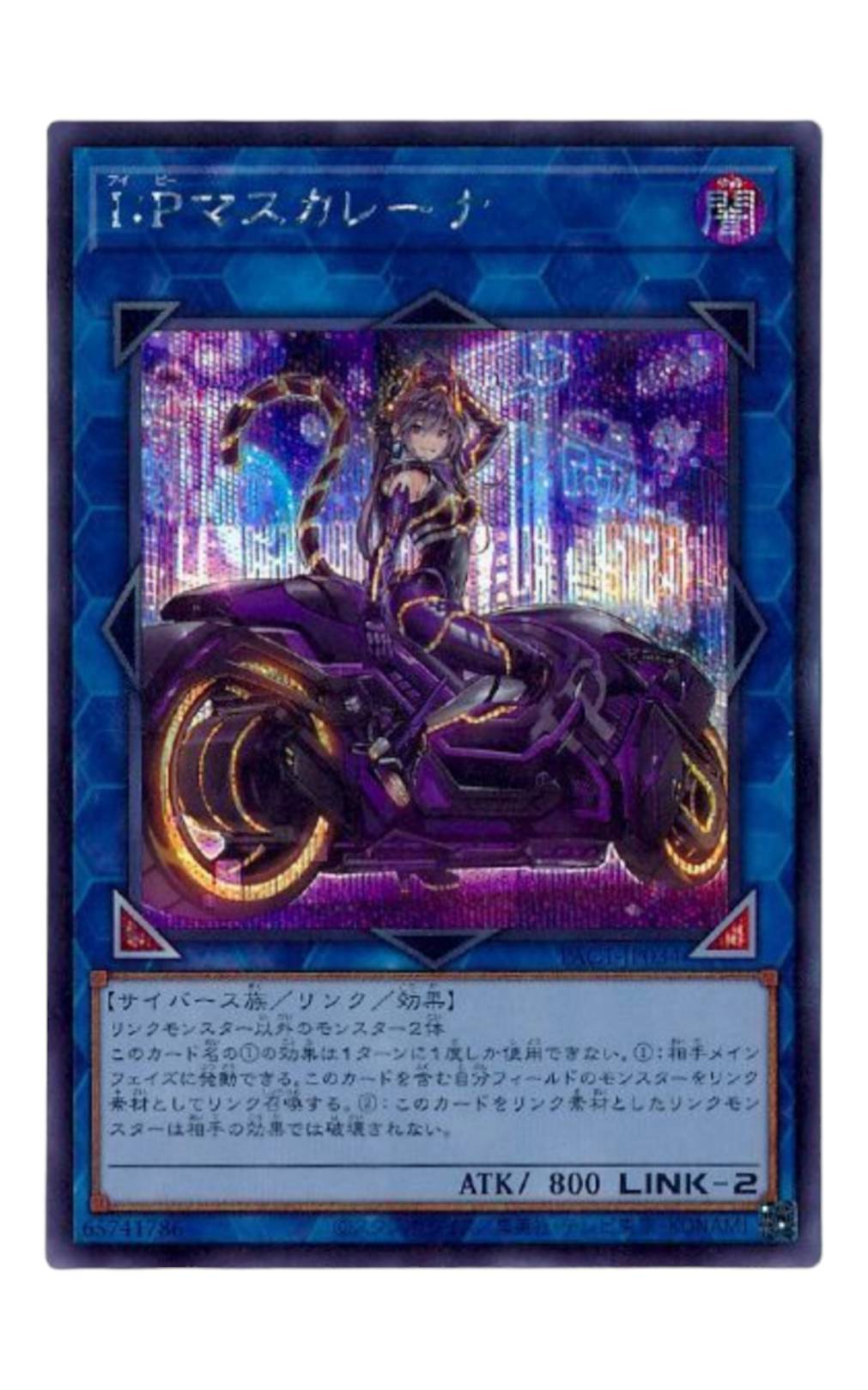 261